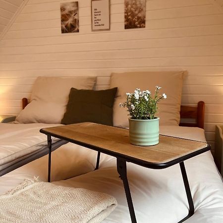 Frieda - Ferienwohnung Mit Deichblick 腓特烈斯科格 外观 照片