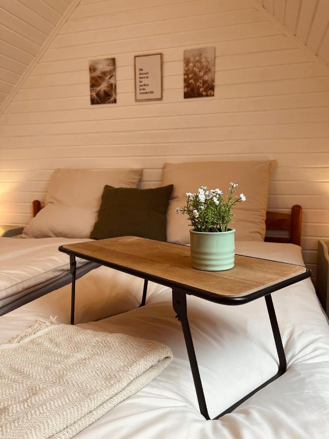 Frieda - Ferienwohnung Mit Deichblick 腓特烈斯科格 外观 照片